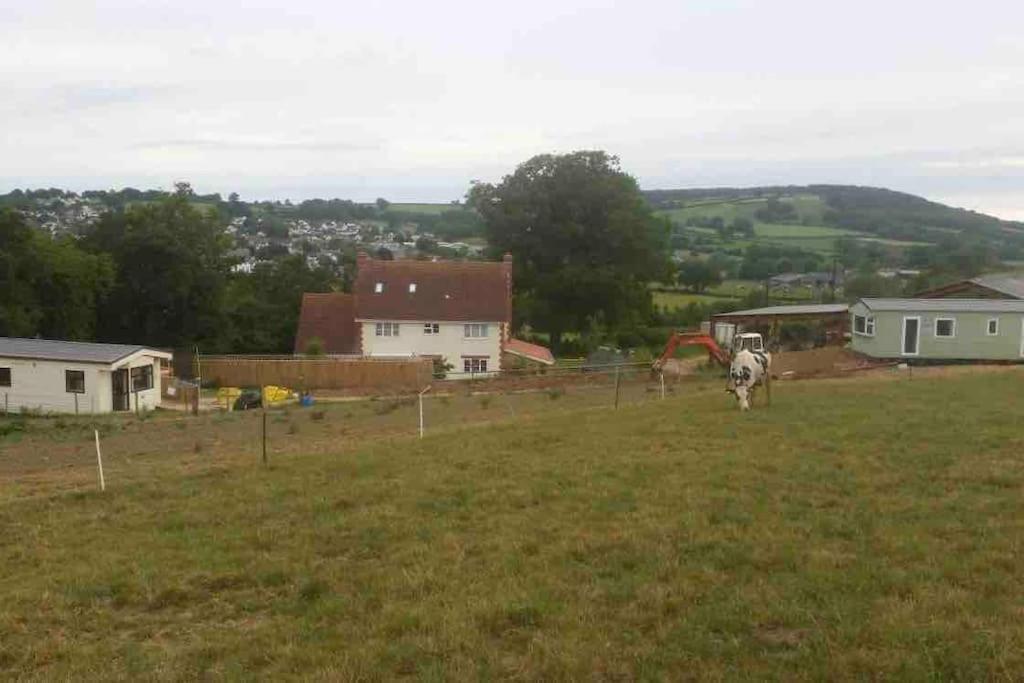 Park Gate, Colyton, Farm,Near Beaches-'Annie' Bagian luar foto